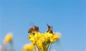 星空体育平台：激光切割机行业深度调研报告2024：：激光切割机行业发展前景广阔(图4)