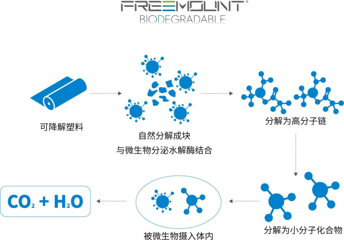 共筑中国纤维品牌力华峰千禧中国纤维品牌联动创享汇2025年度发布会在京成功举办(图3)