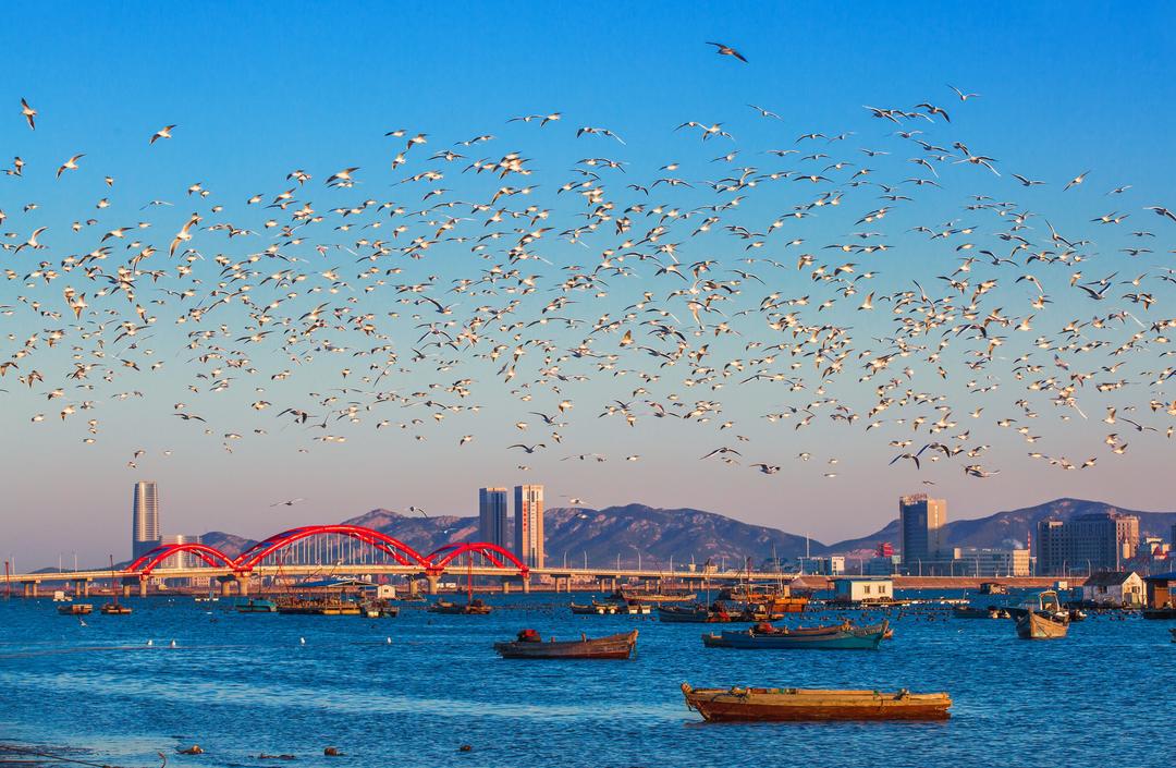 建设绿色低碳高质量发展先行区烟台如何当好“示范生”？(图6)