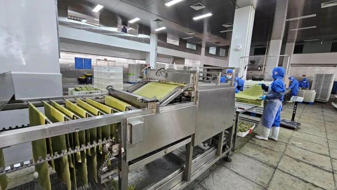 星空体育平台：一座资源型城市转型的科技密码(图4)