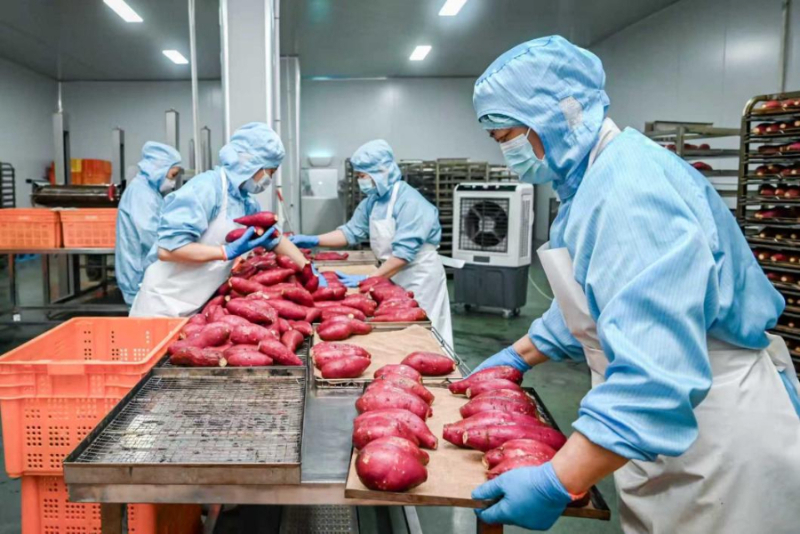 河北省县域经济发展观察(图5)