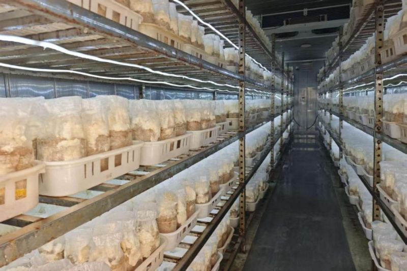 河北省县域经济发展观察(图6)